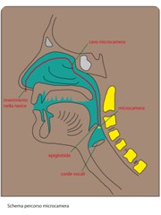 Schema dimostrativo, percorso della videocamera.
